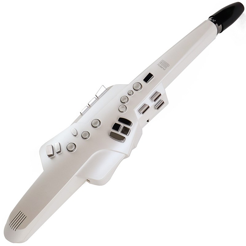 Roland Aerophone AE-10の画像